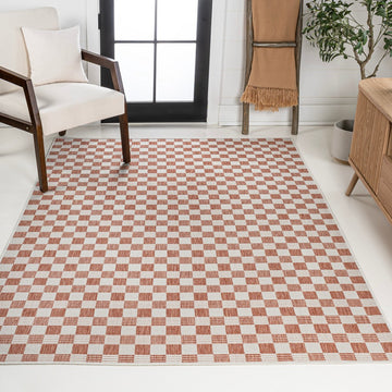 Aimee Traditional Cottage Checkerboard Indoor/Outdoor Area Rug
